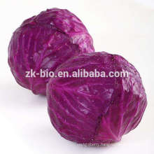 Organic Red Cabbage Powder